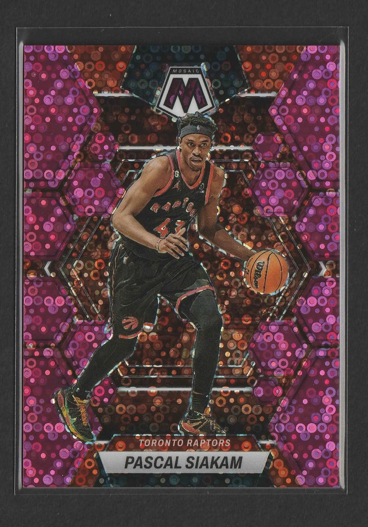 Ein lebhaftes lila und pink holographisches basketball-sammelkarte mit pascal siakam im schwarzen toronto raptors-trikot